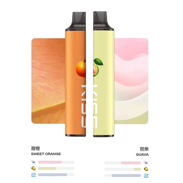 K65 MIX&SHARE 6500口一次性煙桿 KIS5雙口味混搭設計 Type-C快充 拋棄式多種口味選擇