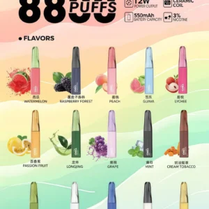 CHILL 始祖鳥 8800口拋棄式電｜一次性可充電大容量煙桿 鴨嘴獸同款